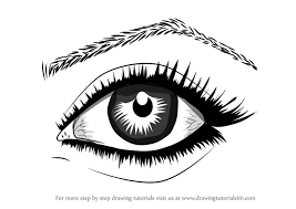 Take your softest pencil (7b or 8b will work the best) and fill the pupil with it avoiding the area of reflection. Learn How To Draw Realistic Eyes With Pencil Eyes Step By Step Drawing Tutorials
