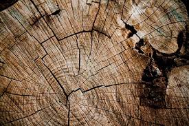 Maybe you would like to learn more about one of these? 50 Seamless High Quality Wood Textures Pattern And Texture Graphic Design Junction