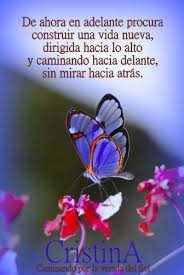 Pin De Ayelet Ari En Pensamientos Mariposas De Colores Fondos Mariposas Clases De Mariposas