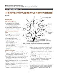 Vegetative growth are long skinny branches, fruiting spurs are shorter fatter stubby branches. Training And Pruning Your Home Orchard Home Orchard Pruning Plum Trees Prune