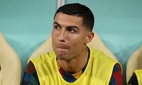 Dan Ripley: All their latest coverage