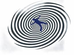 Vertigo Bas Donmesi Prof Dr Mehmet Ali Babademez