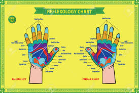 Hand Reflexology Chart With Accurate Description Of The Corresponding