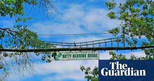 Image result for bridge for squirrels