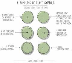 Lisa Orgler Design How To Draw A Plant Symbol Landscape Design Drawings Landscape Design Plans Garden Design Plans