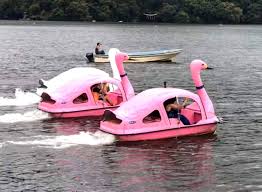 相模湖で「足こぎスワン世界大会」 3年ぶり開催へ - 相模原町田経済新聞