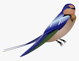Gambar burung lovebird kartun download now lovebird vector and illu. Flying Swallow Png Gambar Burung Kartun Png Transparent Png Kindpng