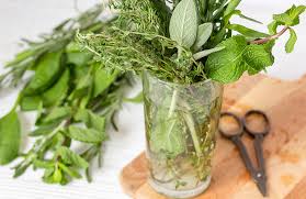 Several herbs can grow for months in nothing but water. Indoor Herb Garden 10 Herbs You Can Grow In Water Centre Of Excellence