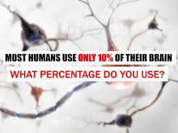 Most Humans Use Only 10 Of Their Brain What Percentage Do You Use Personality Quizzes Fun Quizzes Fun Quiz