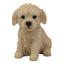 The poodle, called the pudel in german and the caniche in french, is a breed of water dog. Ebros Realistic Adorable Sitting Labradoodle Puppy Statue 6 5 Tall Pet Pal Golden Retriever And Poodle Mutt Dog Breed Lifelike Doggie Collectible Resin Decor Figurine With Glass Eyes Walmart Com Walmart Com