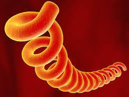 Syphilis is a common sexually transmitted disease (std) that unfolds in stages. Syphilis Symptome Therapie