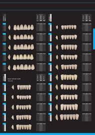 mold chart porcelain teeth