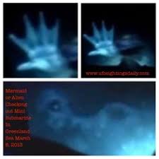 100 Aquatic Ape Theory Mermaids Ideas Mermaid Aquatic Real Mermaids