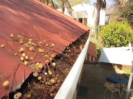 See reviews, photos, directions, phone numbers and more for the best gutters & downspouts cleaning in winter haven, fl. Pin On Real Estate Advice