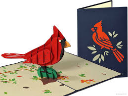 14 juli 2021 de besmettingscijfers gaan de verkeerde kant op. Siervogel Rode Kardinaal Vogel Pop Up Kaart Popcards Nl