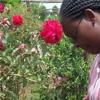 Jane Mugambi (@JaneAlvis)