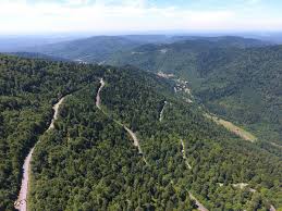 Accès à la chaume du querty de manière très régulière dans une forêt magnifique. La Planche Des Belles Filles