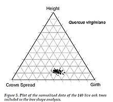 tree measurement wikipedia