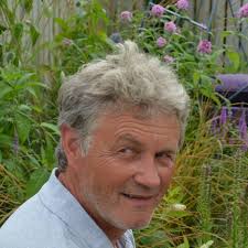 Hi, has anybody had experience in removing bamboo that could give me some  advice