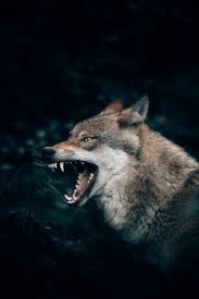 Simply gather enough tracks to reach research level 1 will unlock the physiology tab. How To Unlock Your Inner Monster In Order To Become Truly Good By Taylor Foreman Live Your Life On Purpose Medium