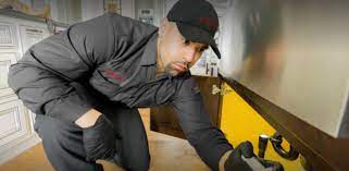 4007 n nashville ave, chicago, il 60634, usa. 5 Best Pest Control Companies In Chicago Top Pest Control Companies