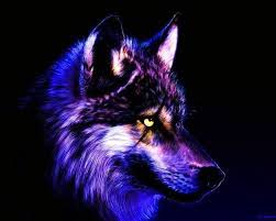 Cristiano ronaldo lies injured playing for sporting lisbon aged 17, january 30 before his transfer to the english premiership team manchester united. Cool Wallpapers Of Wolves Cool Wallpapers Of Wolves Cool Wallpapers Wolf Wolf Images Cool Wallpaper