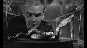 Terror in the Fog: The Wallace Krimi at CCC