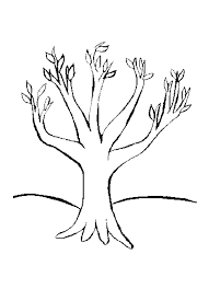 Are you searching for olive tree png images or vector? Tree Coloring Book Coloring Home