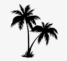 Black palm tree thin line icon vector. Palm Trees Png Black Palm Tree Silhouette Drawing Png Image Transparent Png Free Download On Seekpng