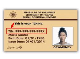 Archie eder lesoy on february 16, 2018: How To Get Tin Id Online 2021 Fast And Easy Way