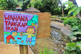 Objek wisata kandang batu dan kandang badak di cianjur. Dkandang Amazing Farm Sensasi Seru Beternak Dan Cocok Tanam