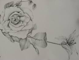 Drawing is the foundation of so many creative practices, from architects to fashion designers to animators and artists. 10 Beautiful Flower Drawings For Inspiration Hative
