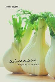 Comment Congeler Du Fenouil Fenouil Cuisine Legumes