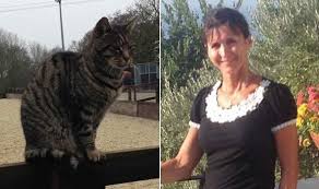 Maybe you would like to learn more about one of these? I Buried My Dead Cat Then Mine Came Home Weird News Express Co Uk