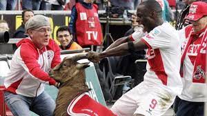 If your agent is taking you somewhere that you don't like, follow your instincts and make the decision, added ujah. Cologne S Anthony Ujah Apologises To Goat For Rough Treatment Eurosport