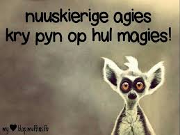Nuuskierige Agies Kry Pyn Op Hul Magies Afrikaans Afrikaanse Quotes Afrikaans Quotes