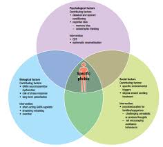 Image result for Specific Phobia