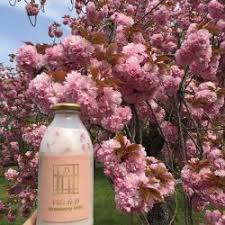 To ensure the perfect consistency of your milkshake, add the milk first while adding the. Strawberry Milk Explore Tumblr Posts And Blogs Tumgir