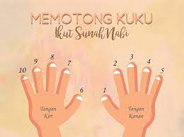 Memotong kuku jadi salah satu aktivitas yang pasti dijalani setiap orang. Adab Memotong Kuku Antara Mitos Dengan Sunah
