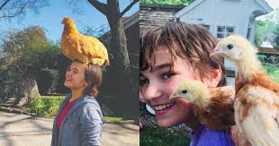 Nashville's 'Hen Chicks' Show off Their Chicken Coops and Henhouses