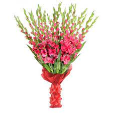 Online Flower Delivery In Mumbai Flower Delivery Online Flower Delivery Gladiolus Flower