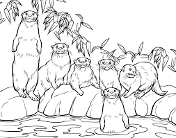 Coloring Book Otters L2 Gif 990 778 Pixels Family Coloring Pages Zoo Animal Coloring Pages Animal Coloring Pages