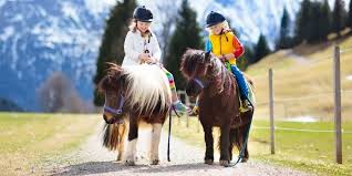 Considerations For Riding Miniature Horses Helpful Horse Hints