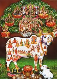 Sathguru venkataraman's siddha insights regarding kamadhenu furthermore, kamadhenu got for her species the special blessing of cow's milk being used in the 'abishekam' of all deities everywhere. Gomatha Cow Puja Lord Shiva Painting Shiva Lord Wallpapers Lord Shiva Family