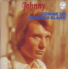 Comme un corbeau blanc