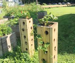 We thought we would start with one of the vertical strawberry planter. Tech Engineering Class Strawberry Towers 8 Steps With Pictures Instructables