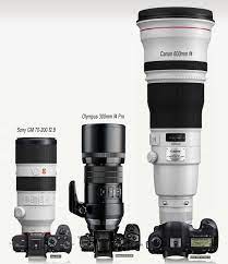 The Olympus 300mm Pro F 4 0 Official Lens Review By Craig Litten On Www Stevehuffphoto Com Vintage Cameras Photography Lens Olympus