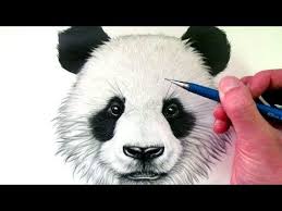 Epingle Sur Pastel A Sec