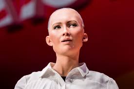 Image result for sophia robot