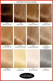 Golden Blonde Hair Colour Chart Blonde Chart Colour Golden Hair Blonde Chart Chartblon In 2020 Blonde Hair Color Chart Golden Blonde Hair Color Blonde Hair Color